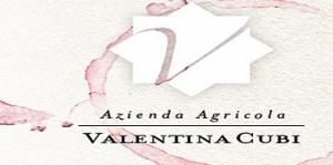 Valentina Cubi logo