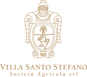 Villa Santo Stefano logo