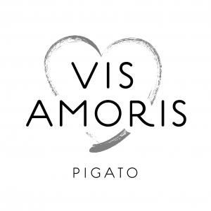VisAmoris logo