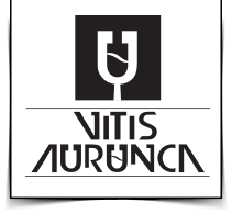 Vitis Aurunca logo