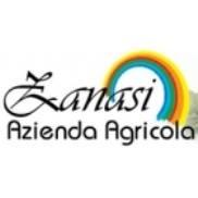 Zanasi logo