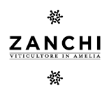 Zanchi logo
