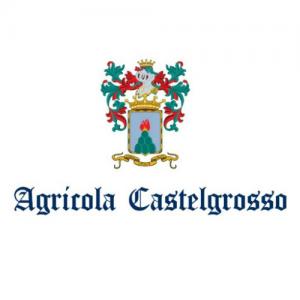 Agricola Castelgrosso logo