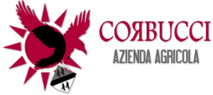 Logo Corbucci