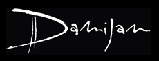 damijan podversic logo