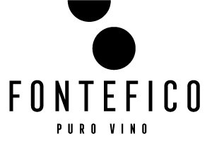 Fontefico logo