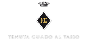 Guado al Tasso logo