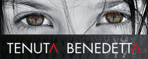 Tenuta Benedetta logo