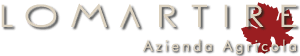 Lomartire logo
