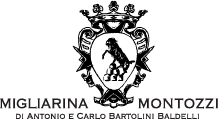 Migliarina &amp; Montozzi logo