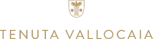 Logo Vallocaia