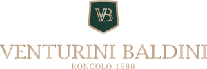 Venturini Baldini logo