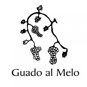 Logo di Guado al Melo