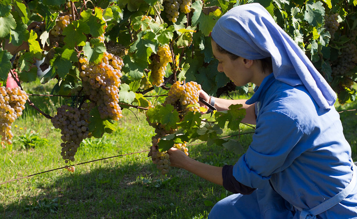 I vini naturali del Lazio: le suore di Vitorchiano