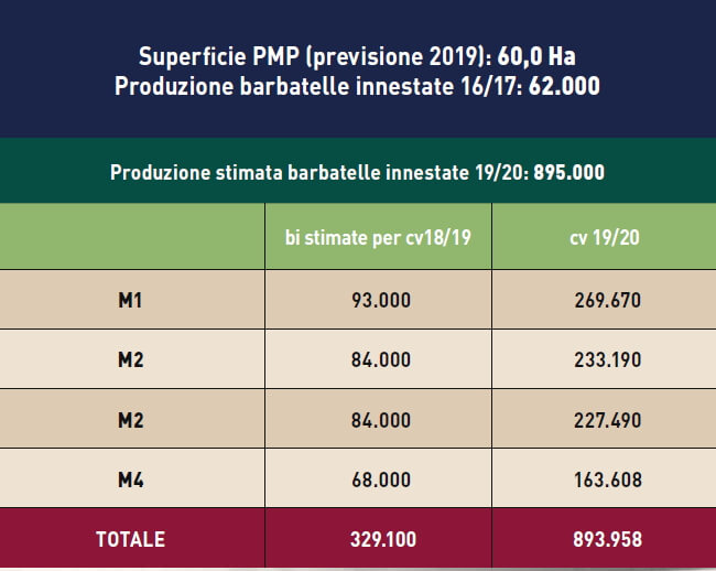 Portinnesti vite: Produzione stimata delle barbatelle innestate 19/20