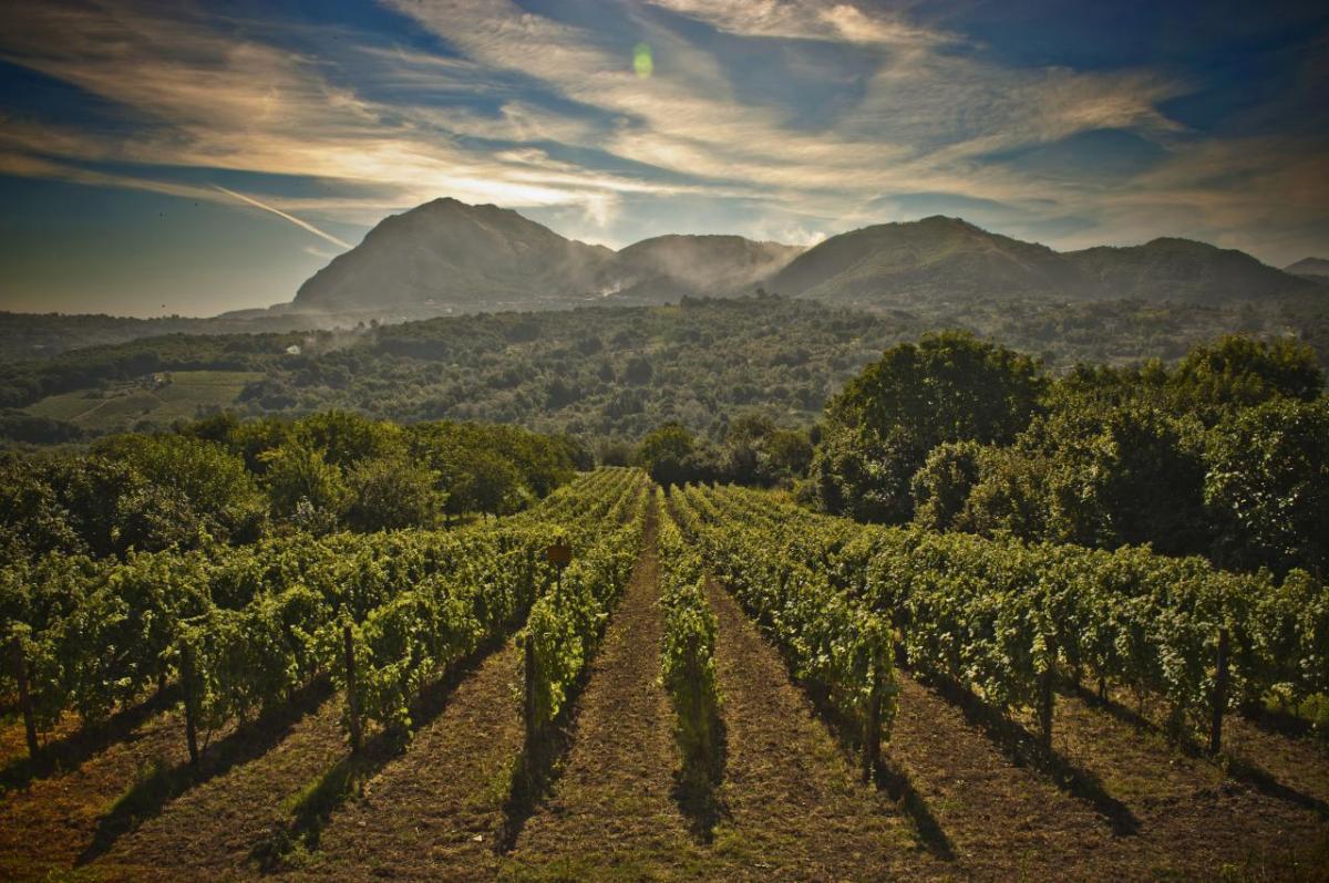 Tufo Strada Vini Irpinia