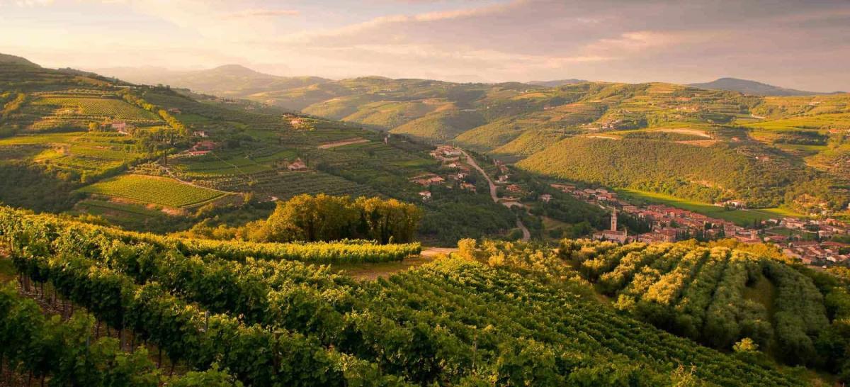 Valpolicella