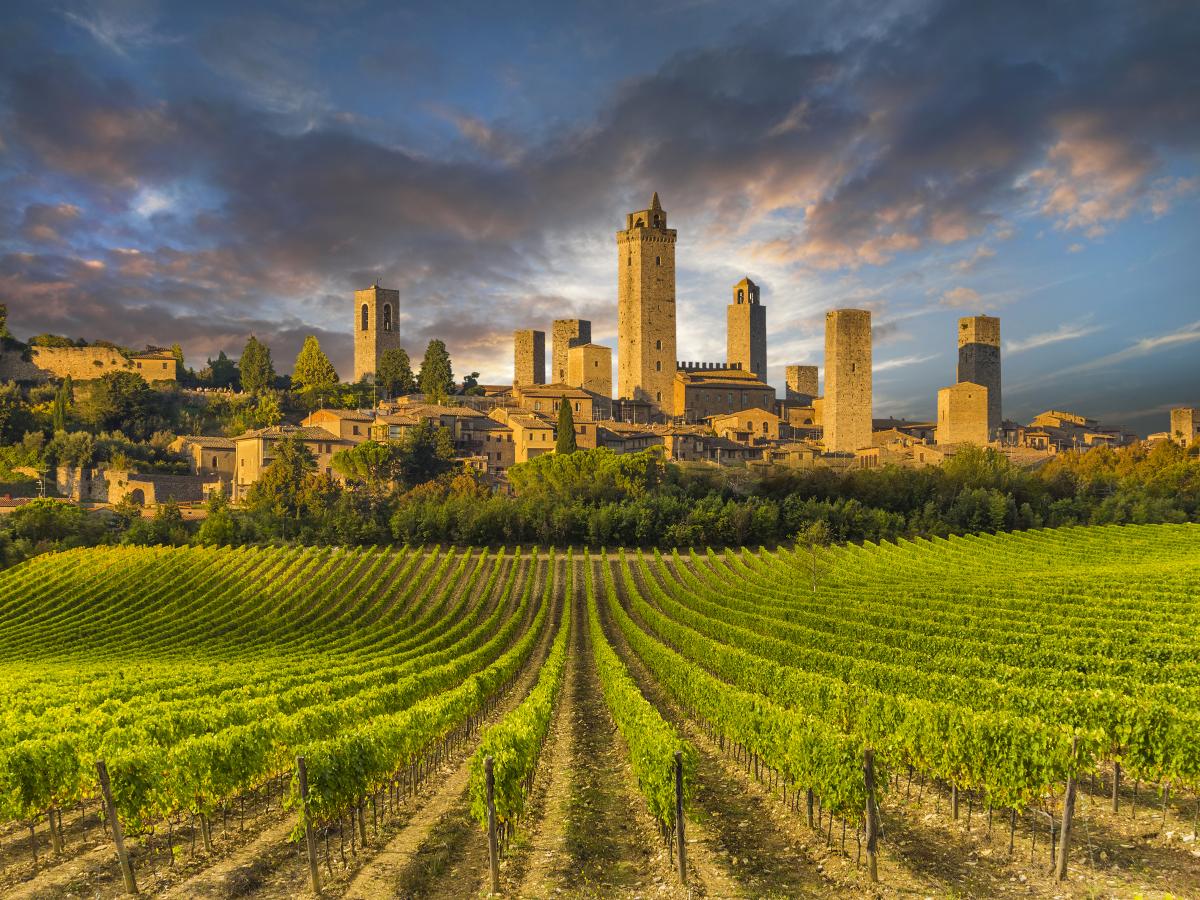 Vigneti di San Gimignano