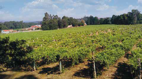  Vigneti Bodegas La Val