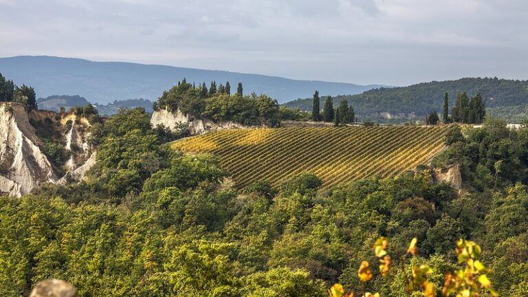 Cantine Aperte 2018 in Umbria: i vigneti che circondano la città di Orvieto