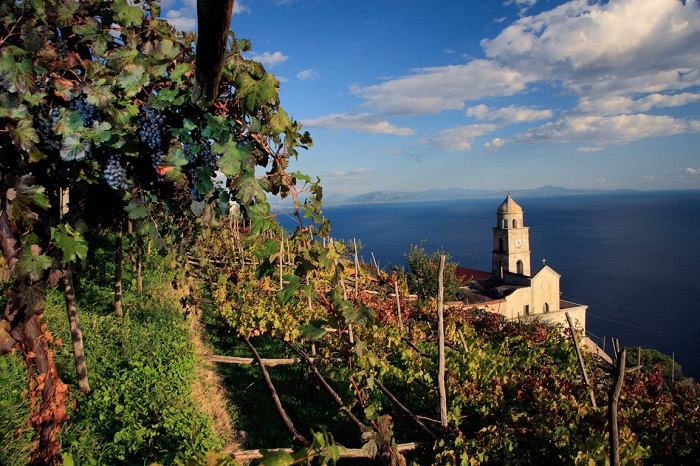 vigneto di Marisa Cuomo