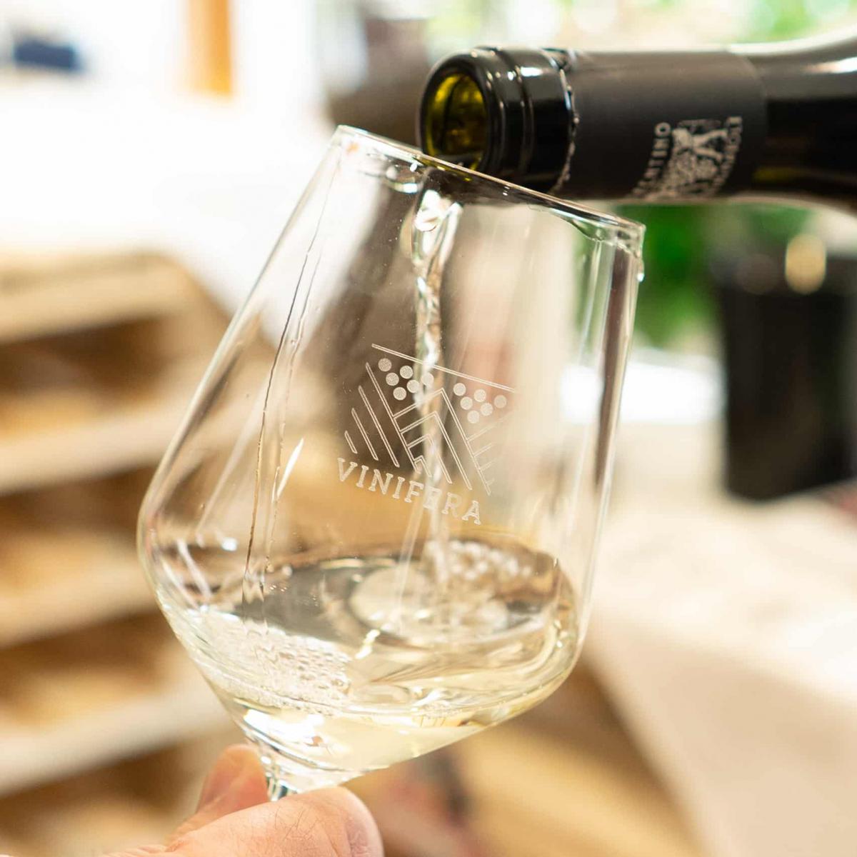 Vinifera 2023