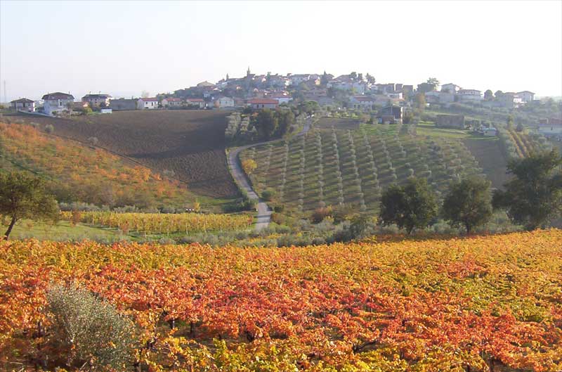 Vista del Comune di Torano Nuovo (TE)