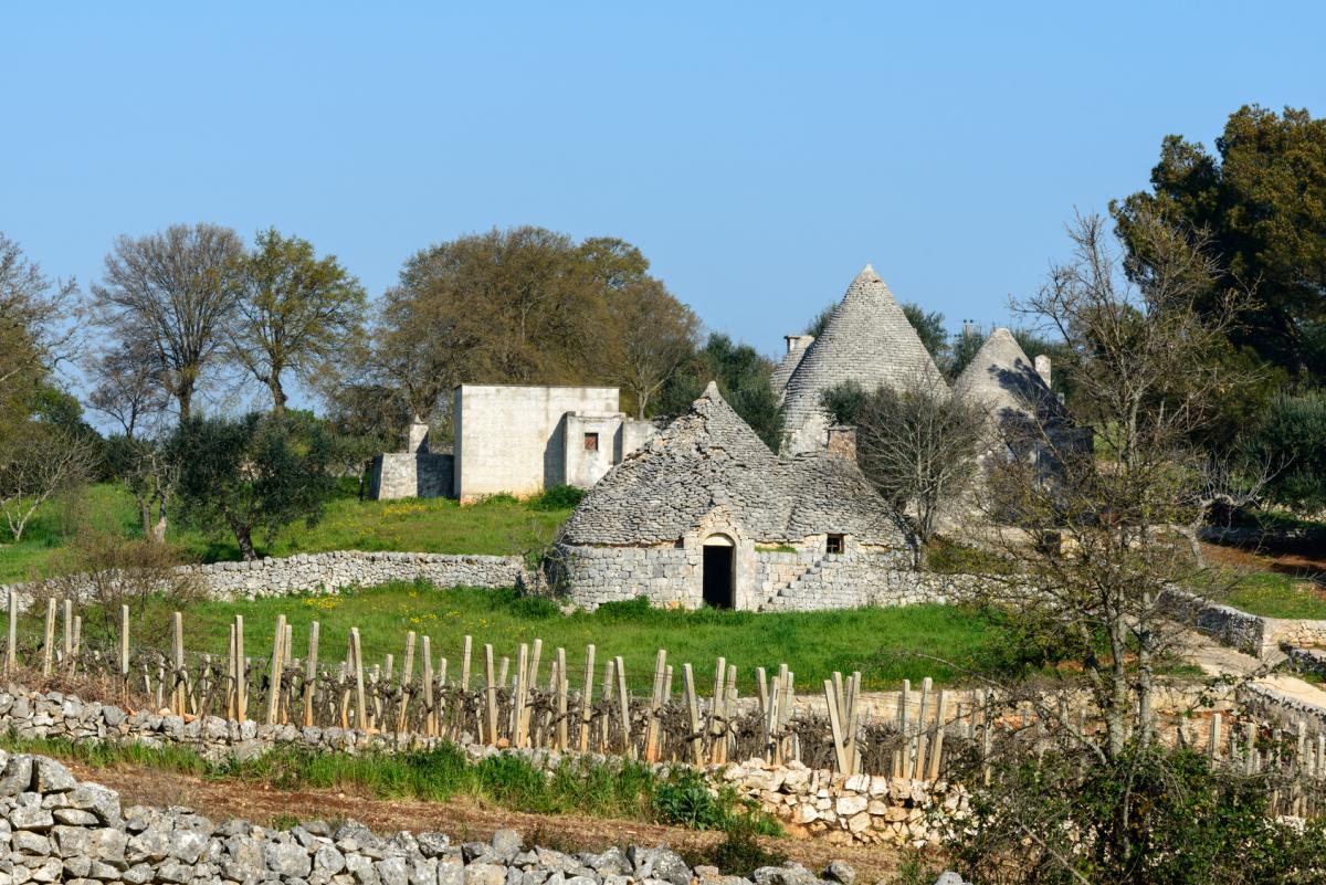 Vitigni pugliesi trulli