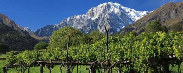 I vitigni in Valle d'Aosta