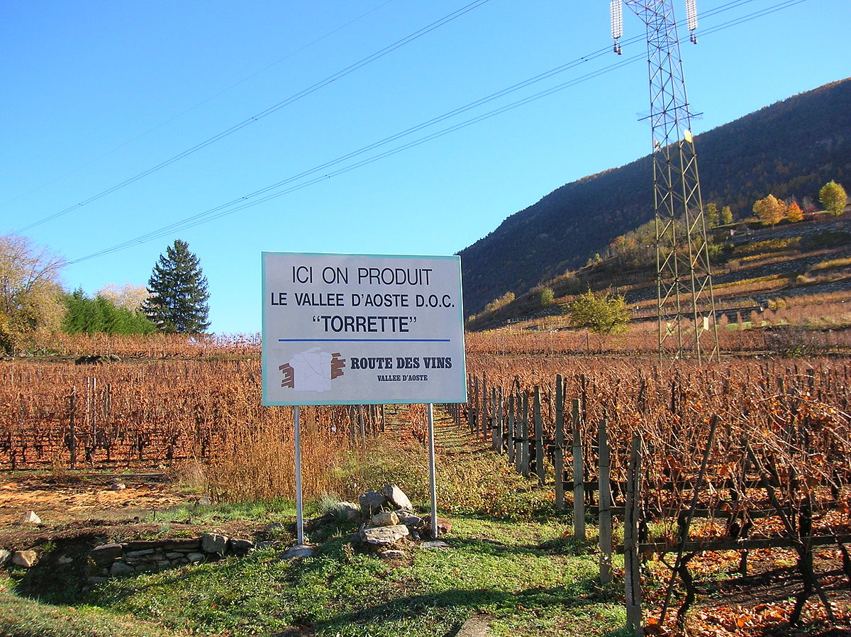  Zona di produzione del vino Torrette