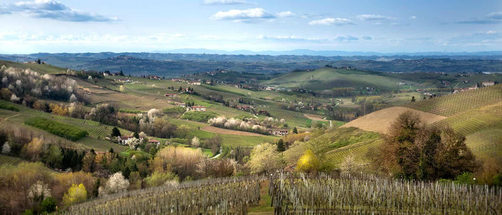 Alta Langa: zona produzione spumante